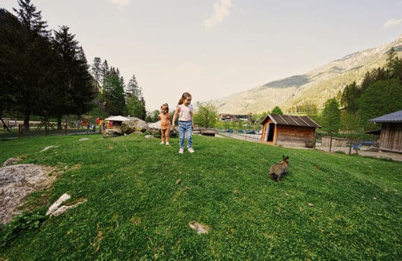 Wildpark Untertauern: Ausflugsziele im Salzburger Land, dein Urlaub in Flachau