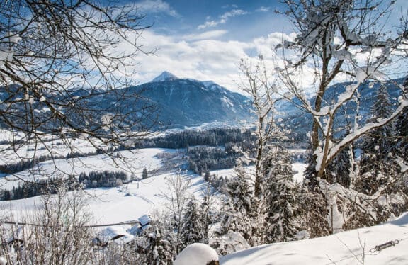 Toplage in Flachau, Ski amadé, in den Appartements Harmony