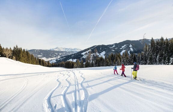 Toplage in Flachau, Ski amadé, in den Appartements Harmony